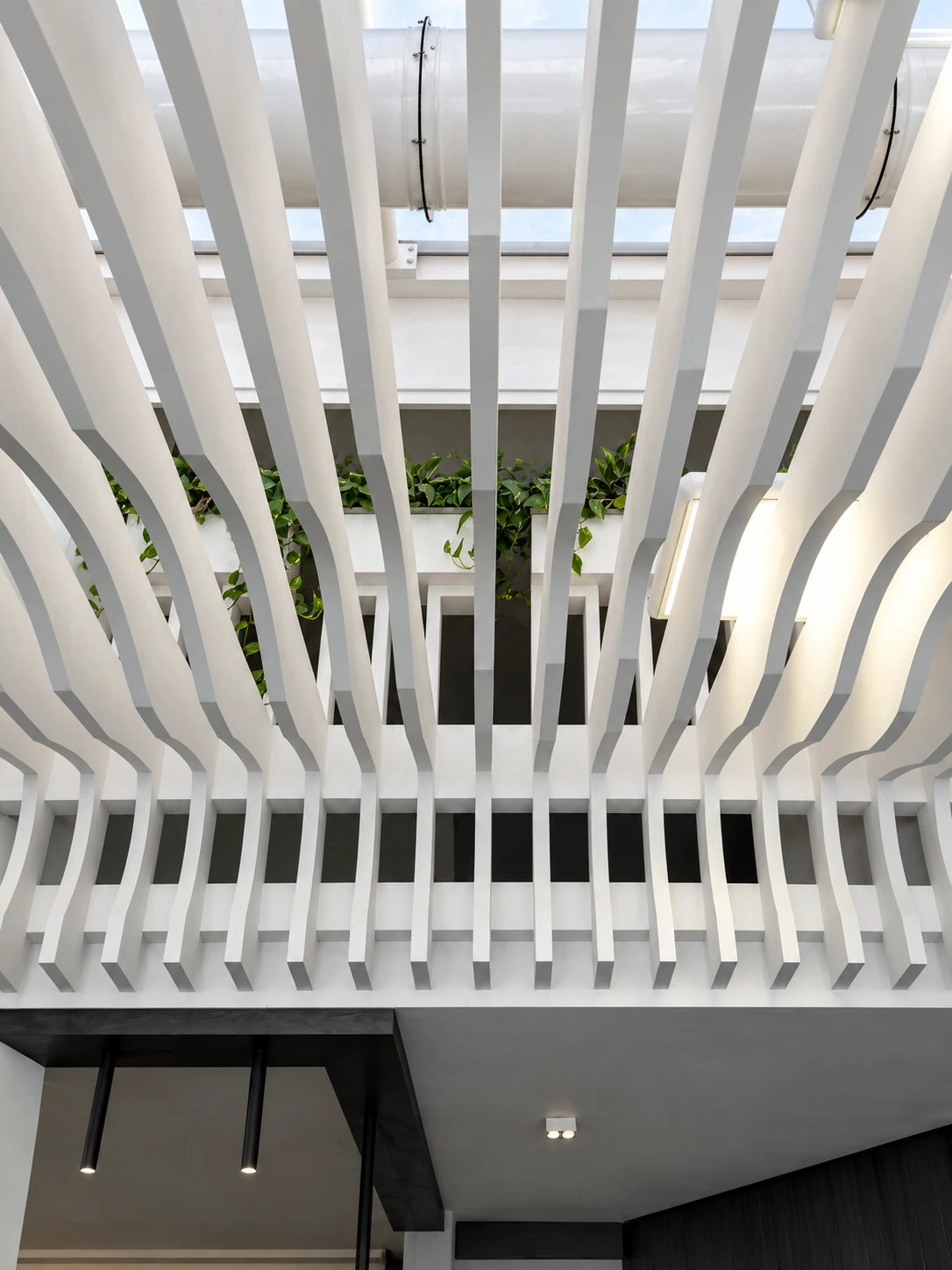 Perspective view of the sculptural white ceiling and integrated planting at Atiyeh Hospital Café
